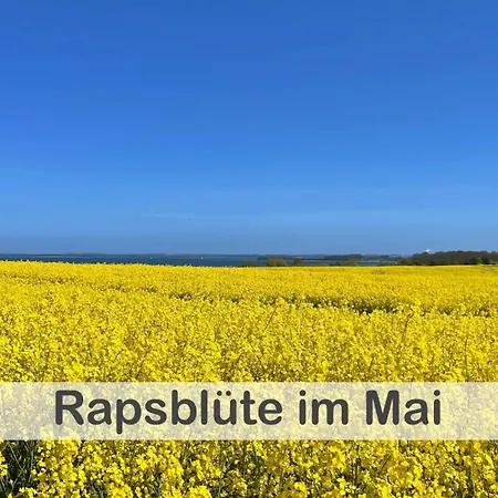 Anker Im Gutshaus Hohen Wieschendorf, Entschleunigung Pur Fuer Erholsame Tage Appartamento Hohen Wieschendorf